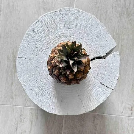 Apartment Mirador Paraiso: Superb Sea View *