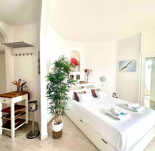 Mirador Paraiso: Superb Sea View * Playa Paraiso (Tenerife)