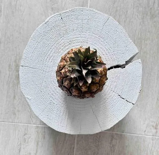 Appartamento Mirador Paraiso: Superb Sea View *